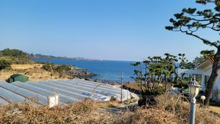 서귀포시 대포동 매물 대표 이미지