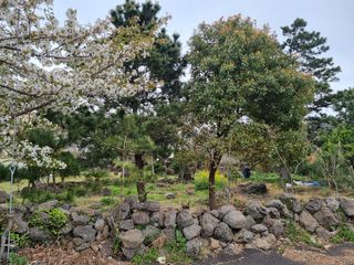 제주시 애월읍 신엄리 매물 대표 이미지