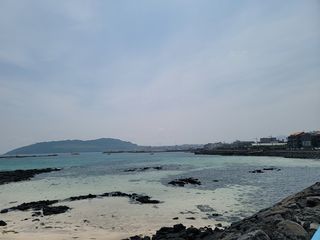 제주특별자치도 제주시 조천읍 신흥리 87-2 제네시스빌 에이동 A-203 매물 대표 이미지