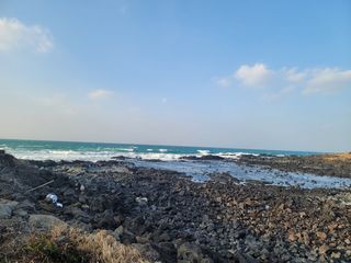 제주시 조천읍 조천리 매물 대표 이미지