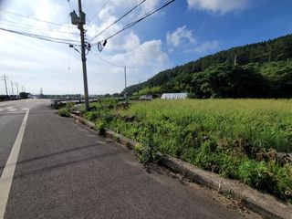 제주시 애월읍 봉성리 매물 대표 이미지