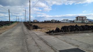 제주시 구좌읍 행원리 매물 대표 이미지