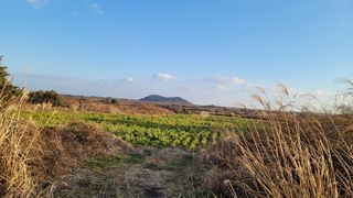 제주시 구좌읍 세화리 매물 대표 이미지