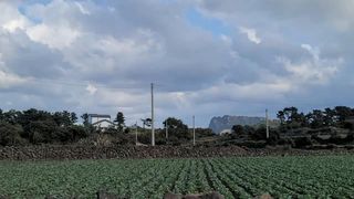 서귀포시 성산읍 시흥리 매물 대표 이미지