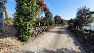 제주시 조천읍 선흘리 매물 대표 이미지