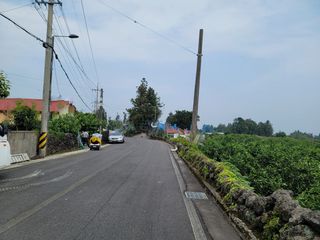 서귀포시 남원읍 신례리 매물 대표 이미지