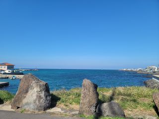 제주시 한림읍 수원리 매물 대표 이미지