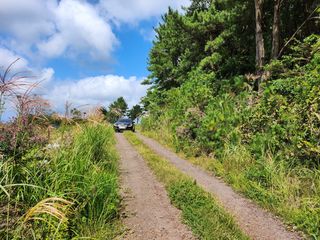 제주시 애월읍 소길리 산 매물 대표 이미지