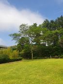 초이스공인중개사 프로필 이미지