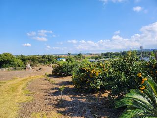 제주시 도련일동 매물 대표 이미지