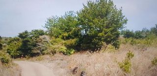 서귀포시 성산읍 삼달리 매물 대표 이미지