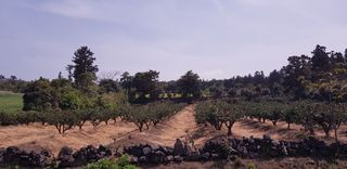 제주시 회천동 매물 대표 이미지