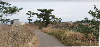 제주시 한경면 용수리 매물 대표 이미지