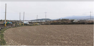 제주시 한림읍 대림리 매물 대표 이미지