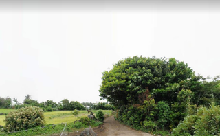 서귀포시 성산읍 수산리 매물 대표 이미지