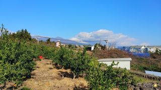 서귀포시 색달동 매물 대표 이미지