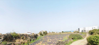 제주시 한경면 금등리 매물 대표 이미지