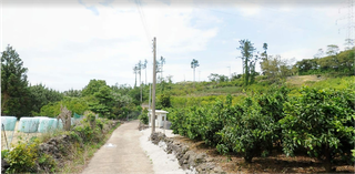 제주시 용강동 매물 대표 이미지