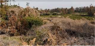 제주시 화북이동 매물 대표 이미지