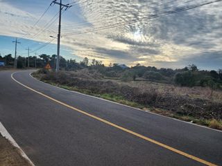 제주시 구좌읍 상도리 매물 대표 이미지