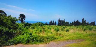 제주시 회천동 매물 대표 이미지