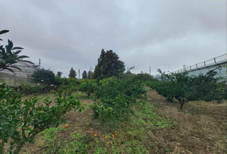 서귀포시 안덕면 상창리 매물 대표 이미지