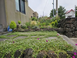 서귀포시 표선면 하천리 매물 대표 이미지