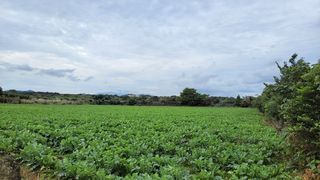 제주시 구좌읍 행원리 매물 대표 이미지