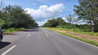 서귀포시 표선면 가시리 매물 대표 이미지