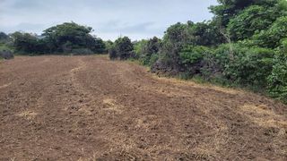 제주시 조천읍 북촌리 매물 대표 이미지