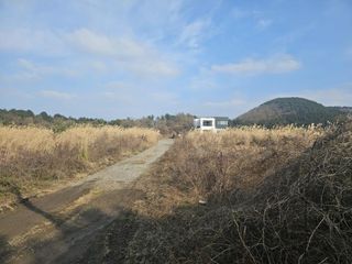 제주시 조천읍 대흘리 매물 대표 이미지