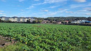 제주시 조천읍 신촌리 매물 대표 이미지