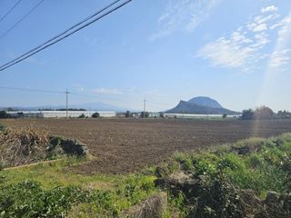 서귀포시 대정읍 인성리 매물 대표 이미지