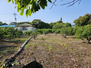 서귀포시 남원읍 태흥리 매물 대표 이미지