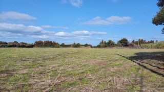 제주시 구좌읍 평대리 매물 대표 이미지