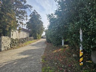 제주시 조천읍 대흘리 매물 대표 이미지