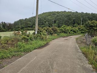 서귀포시 표선면 가시리 매물 대표 이미지