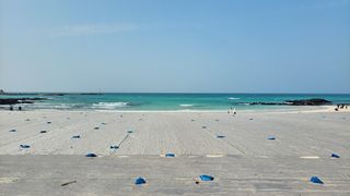 제주시 구좌읍 김녕리 매물 대표 이미지