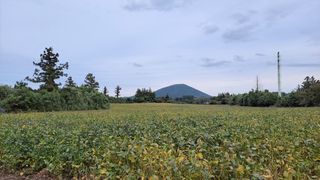 제주시 조천읍 와산리 매물 대표 이미지