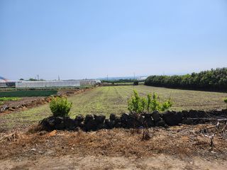 제주시 한림읍 귀덕리 매물 대표 이미지