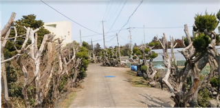 제주시 한림읍 금악리 매물 대표 이미지