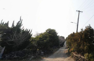 제주시 오등동 매물 대표 이미지