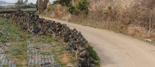 제주시 한림읍 귀덕리 매물 대표 이미지