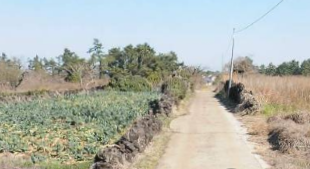 제주시 한림읍 협재리 매물 대표 이미지