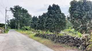 제주시 애월읍 소길리 매물 대표 이미지