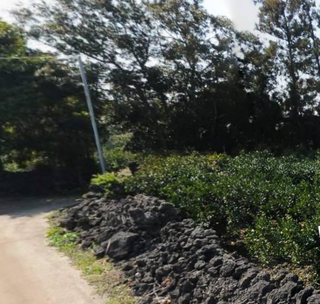 제주시 한림읍 금능리 매물 대표 이미지