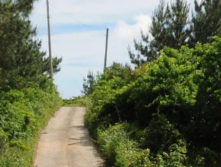 제주시 구좌읍 행원리 매물 대표 이미지