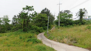 제주시 한림읍 명월리 매물 대표 이미지