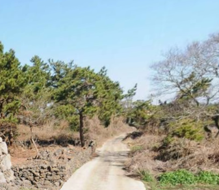 제주시 한림읍 협재리 매물 대표 이미지