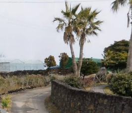 제주시 한림읍 동명리 매물 대표 이미지